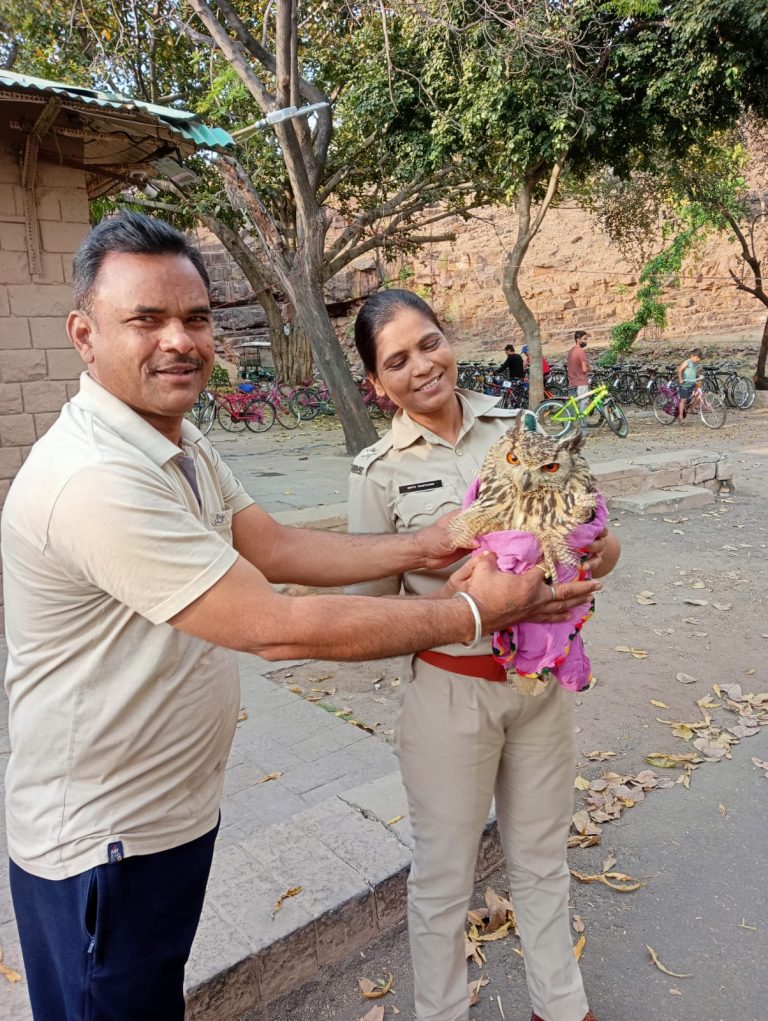 घायल उल्लू को जब तांत्रिक से बचाया युवक ने