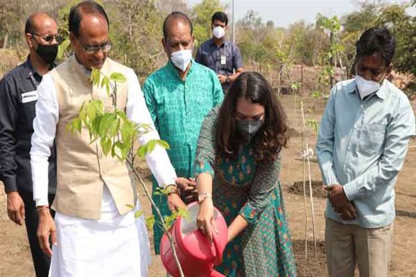 मुख्यमंत्री श्री चौहान ने करंज और गुलमोहर का पौधा रोपा