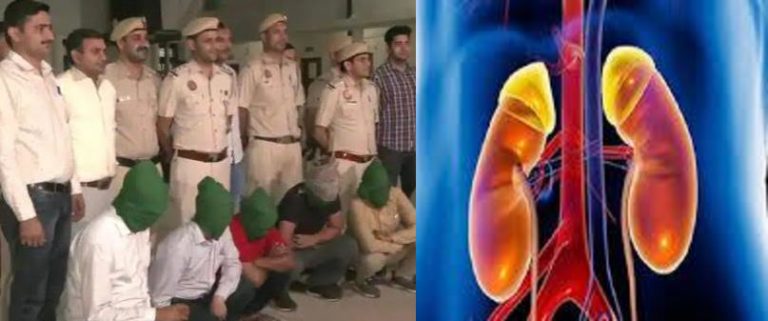 दिल्ली : किडनी रैकेट का हुआ पर्दाफाश, डॉक्टर समेत 10 गिरफ्तार