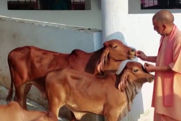 उप्र : सीएम योगी ने गोरखनाथ मंदिर के गौशाला का दौरा किया