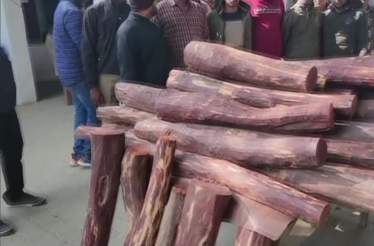लाल चंदन की तस्करी करने वाले एक गिरोह के 7 सदस्यों को पकड़ा गया