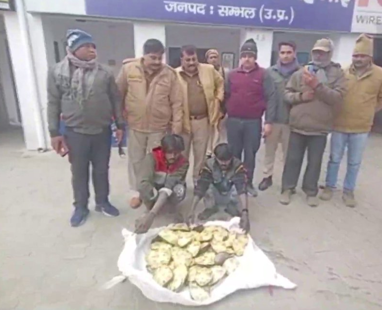 यूपी: कछुए की तस्करी के आरोप में दो गिरफ्तार, बरामद हुए दुर्लभ प्रजाति के 44 कछुए