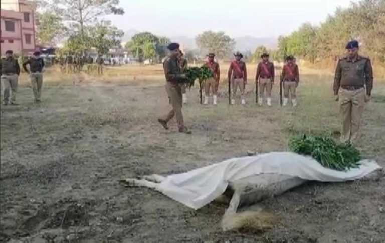 हरिद्वार: पुलिस के घोड़े ‘राजा’ का अंतिम संस्कार किया गया