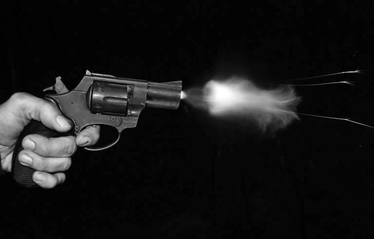 हावड़ा में एक्ट्रेस रिया कुमारी की गोली मारकर हत्या, लुटेरों ने वारदात को दिया अंजाम