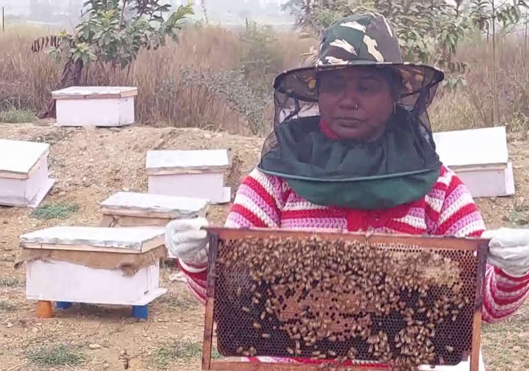 छत्तीसगढ़: बलरामपुर में राष्ट्रीय ग्रामीण आजीविका मिशन में महिलाएं कर रही हैं मधुमक्खी पालन