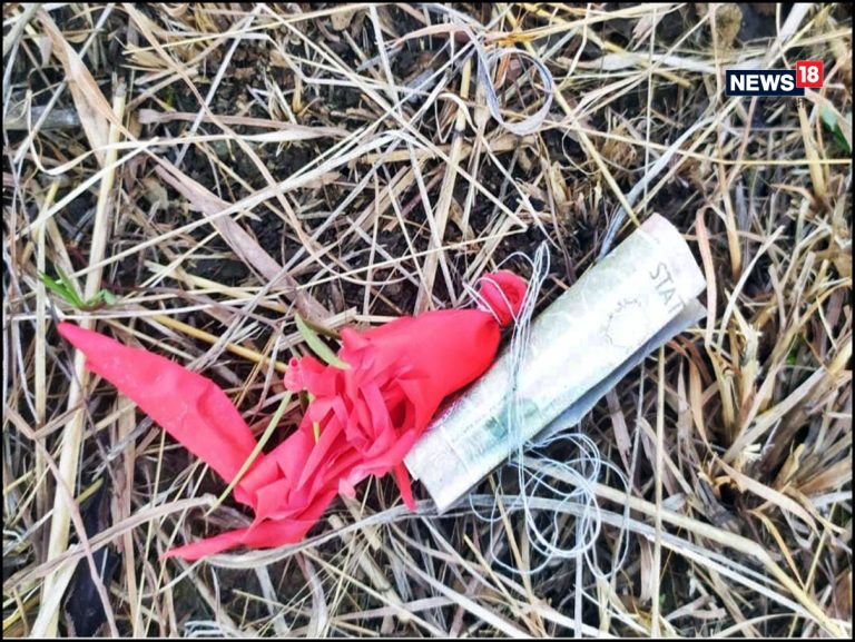 हिमाचल : ननखड़ी के टिक्करी गांव में गुब्बारे में मिले पाकिस्तानी नोट