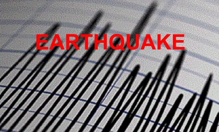 अंडमान द्वीप समूह पर महसूस किए गए भूकंप के झटके, 4.1 मापी गई तीव्रता