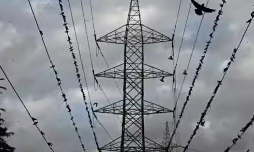 WhatsApp Image 2023-06-28 at 2.52.48 PM