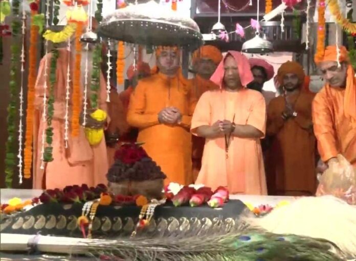 WhatsApp Image 2023-07-09 at 3.01.08 PM