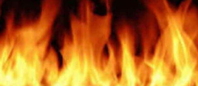 WhatsApp Image 2023-07-14 at 12.27.30 PM