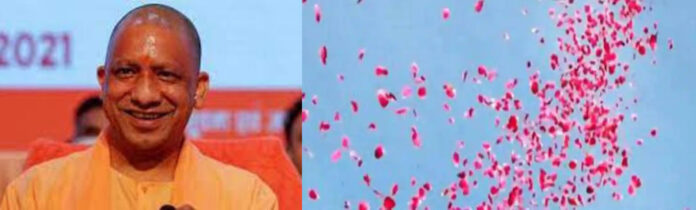 WhatsApp Image 2023-07-14 at 5.04.48 PM