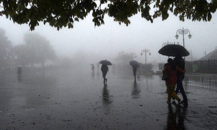 WhatsApp Image 2023-09-18 at 12.34.30 PM