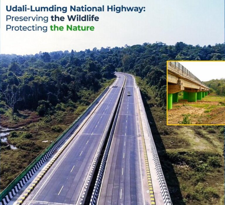 Assam: NHAI made 3 major bridges & underpasses exclusively for Elephants movement