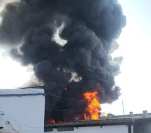 WhatsApp Image 2023-10-07 at 10.30.48 AM