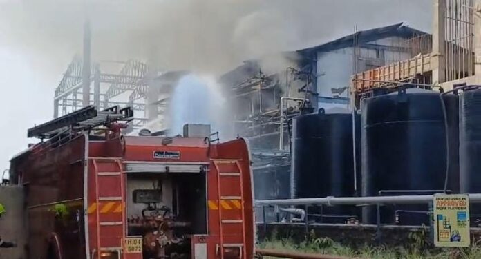 WhatsApp Image 2023-11-03 at 3.41.34 PM