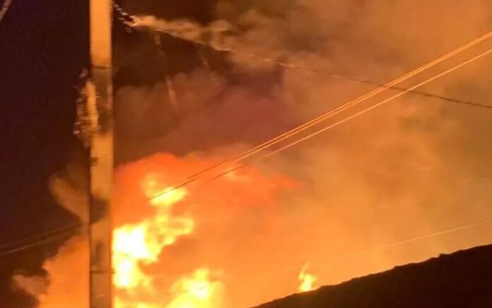 WhatsApp Image 2023-11-13 at 12.08.28 PM