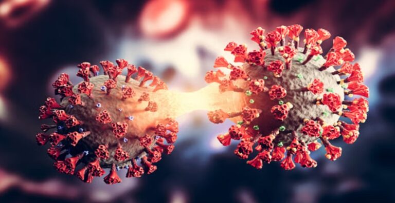 COVID-19 New Variant: तीन राज्यों में पाए गए कोविड सब-वैरिएंट JN.1 के 20 मामले