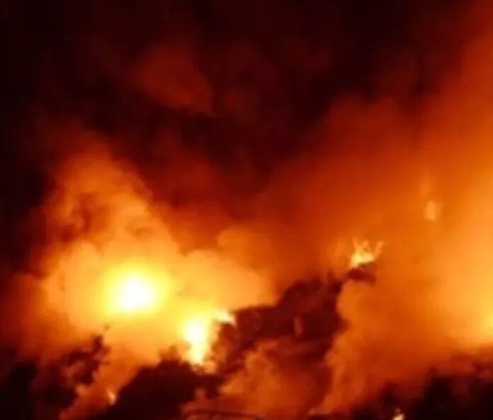 WhatsApp Image 2023-12-29 at 10.26.36 AM