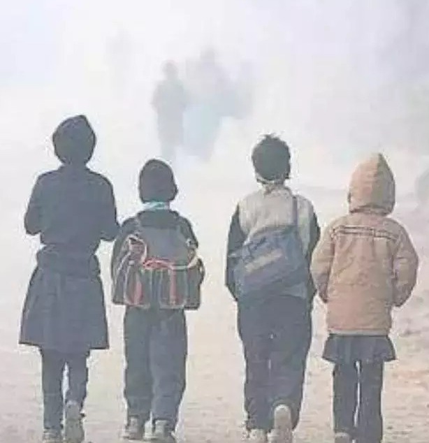 WhatsApp Image 2024-01-09 at 10.58.23 AM