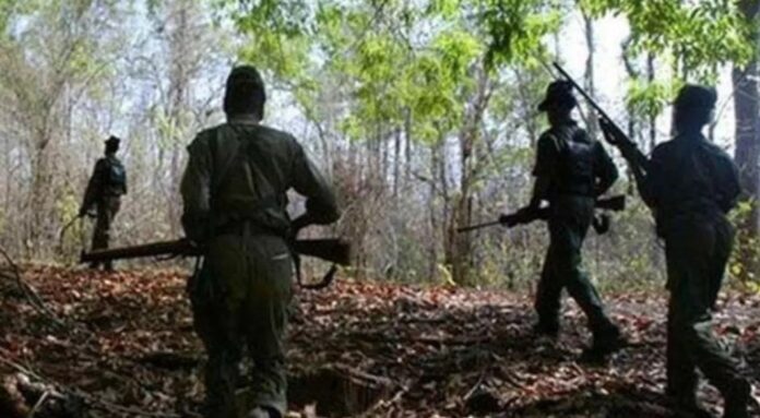 WhatsApp Image 2024-01-20 at 2.47.45 PM