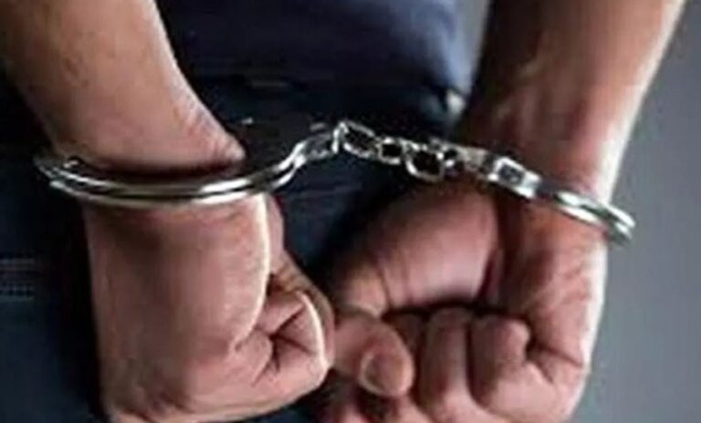 छत्तीसगढ़ : पुलिस ने पिकअप से नकली नोट किए जब्‍त, 1 आरोपी गिरफ्तार