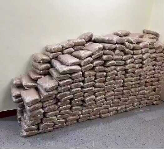 WhatsApp Image 2024-03-11 at 2.03.40 PM