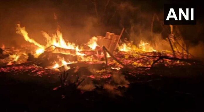 WhatsApp Image 2024-03-31 at 11.48.58 AM