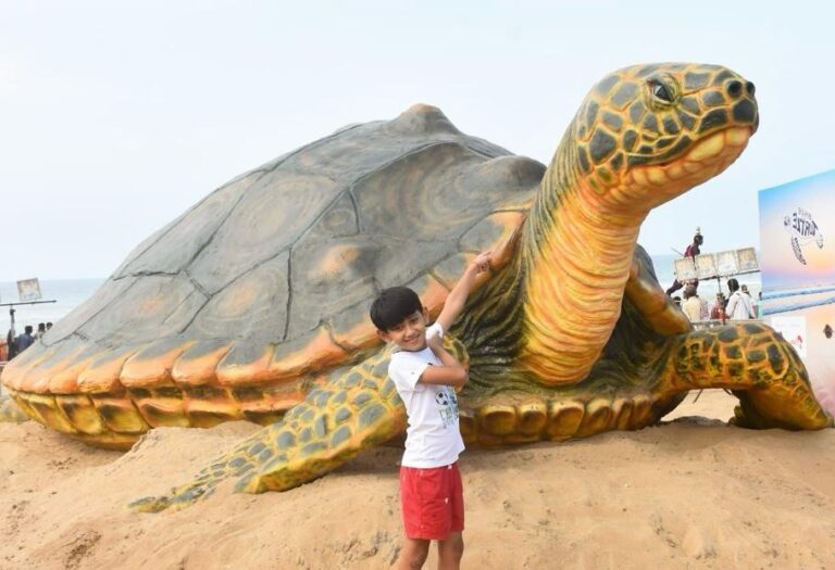 Olive Ridley turtle at Puri Beach by artist Kirti Maharana