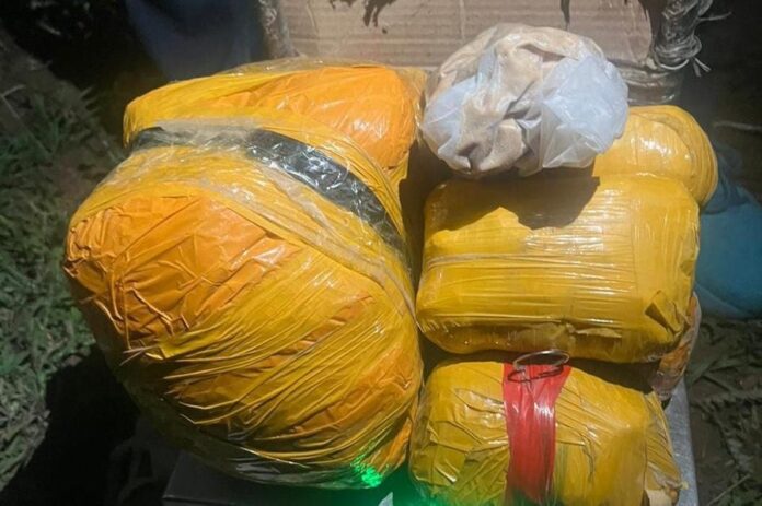 Punjab Police busts 6.65 kg of heroin on border, Two arrested