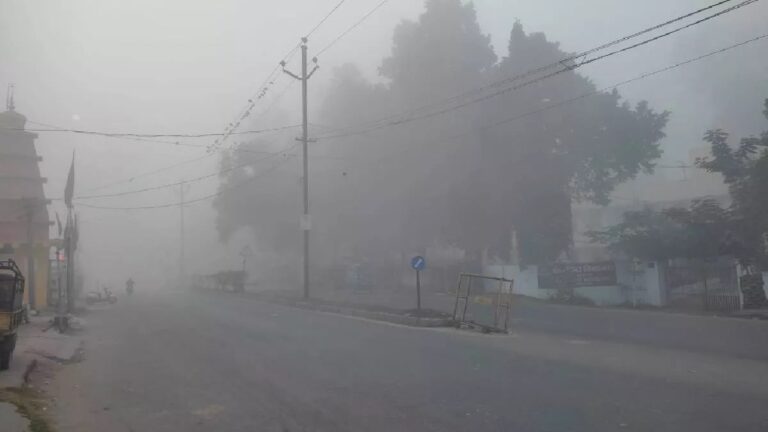 झारखंड: सर्दी का सितम, उत्तर-पश्चिमी हवाओं ने बढ़ाई कनकनी, आईएमडी ने जारी किया यलो अलर्ट