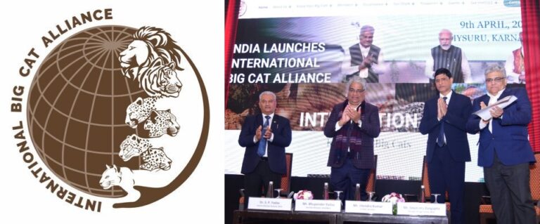 अंतर्राष्ट्रीय बिग कैट अलायंस की स्थापना की रूपरेखा का समझौता आधिकारिक रूप से हुआ लागू
