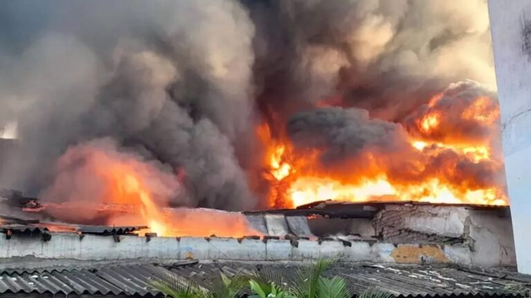 गुजरात: दाहोद में एनटीपीसी के सोलर प्लांट गोदाम में भीषण आग, करोड़ों का सामान जलकर खाक