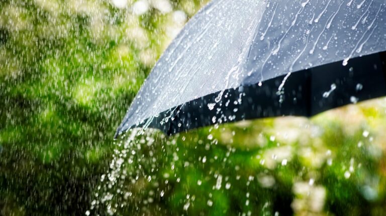 राष्‍ट्रीय राजधानी दिल्‍ली में हुई झमाझम बारिश, गर्मी से मिली राहत