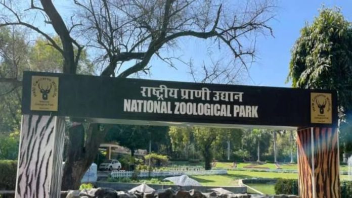 दिल्ली : बर्ड फ्लू की पुष्टि के बाद दर्शकों के लिए चिड़ियाघर हुआ बंद, रोकथाम के उपाय शुरू
