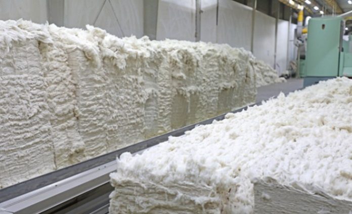 Govt Extends Import Duty Exemption on Raw Cotton Until 31st December 2025