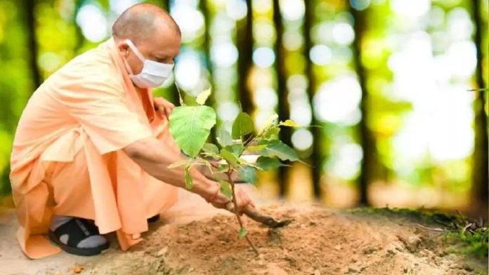 उत्तर प्रदेश सरकार सेवा पर्व पर 15 लाख पौधे लगाने और स्‍वच्‍छ उत्‍सव अभियानों का शुभारंभ करेगी