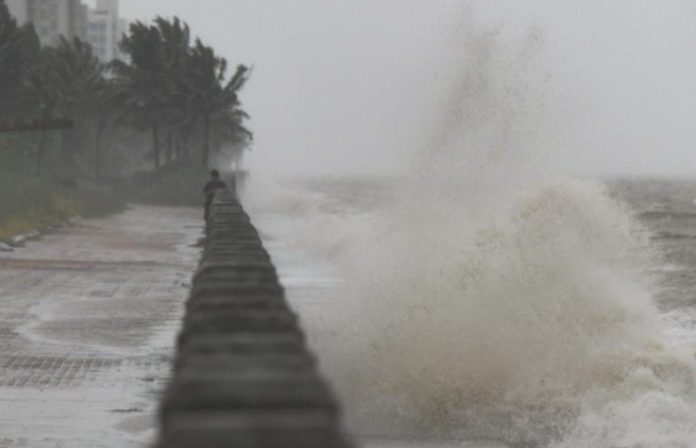 Level-IV typhoon warning issued in China