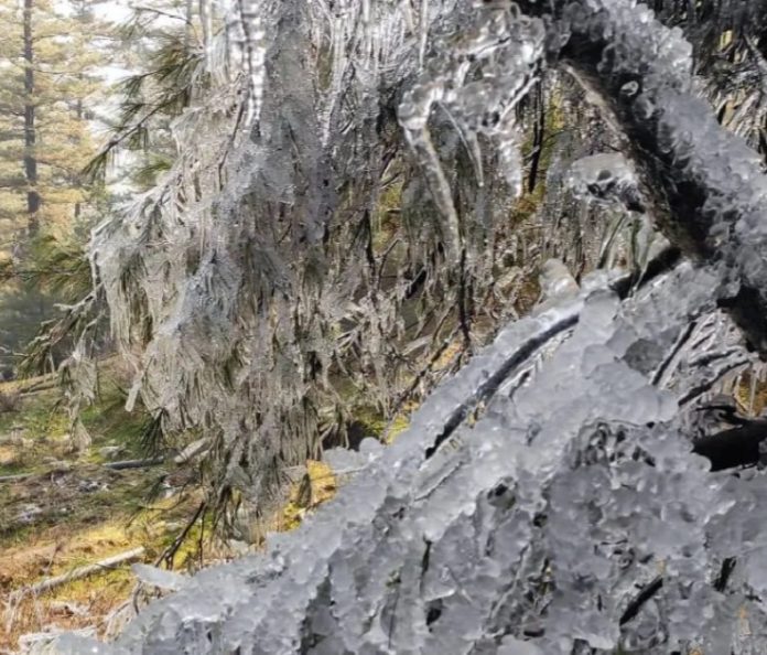 जम्मू-कश्मीर में माइनस में पहुंचा पारा, ठंड बढ़ने के साथ बर्फबारी की संभावना