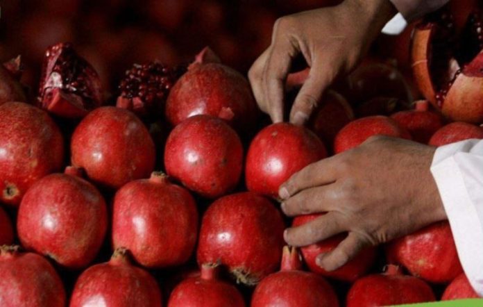 अफगानिस्तान ने पहली बार कतर को कंधार के अनार निर्यात किये