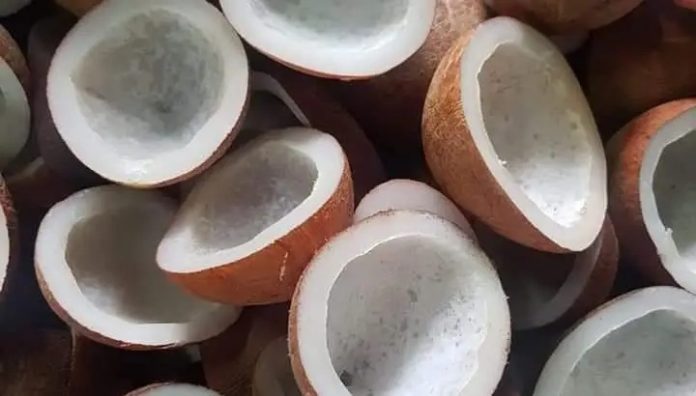 केन्द्रीय मंत्रिमंडल ने 2026 सीजन के लिए खोपरा के न्यूनतम समर्थन मूल्य को दी मंजूरी केन्द्रीय मंत्रिमंडल ने 2026 सीजन के लिए खोपरा के न्यूनतम समर्थन मूल्य को दी मंजूरी