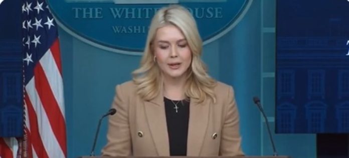 अमेरिका ने ग्रीनलैंड मुद्दे पर जेडी वेंस और डेनिश अधिकारियों के बीच हुई बैठक को सार्थक बताते हुए सराहा