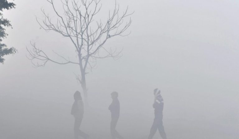 मौसम विभाग ने दिल्ली, हरियाणा, चंडीगढ़ और पंजाब में घने कोहरे की संभावना व्‍यक्‍त की