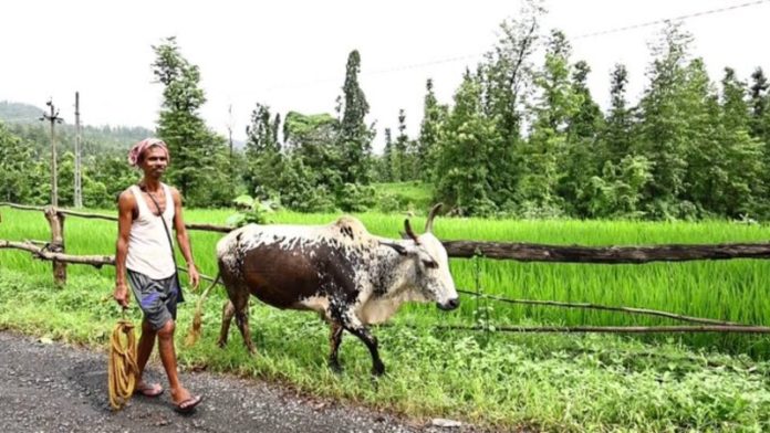 गुजरात सरकार 500 गांवों को ‘प्राकृतिक कृषि गांव’ के रूप में करेगी विकसित