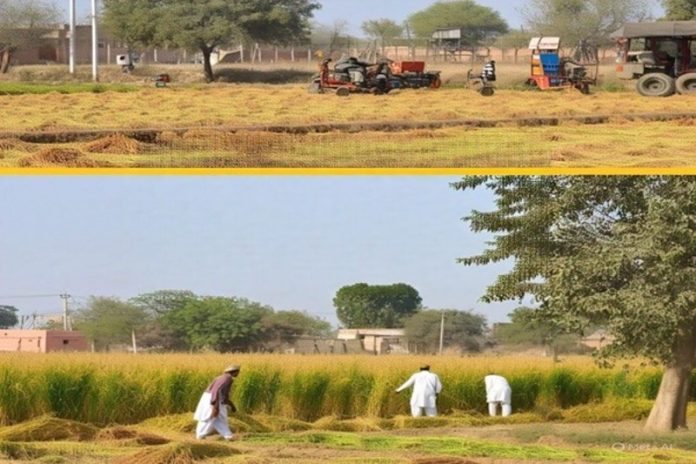 केंद्र सरकार ने पंजाब में सीमा बाड़ को जीरो लाइन के पास स्थानांतरित करने की प्रक्रिया की शुरू केंद्र सरकार ने पंजाब में सीमा बाड़ को जीरो लाइन के पास स्थानांतरित करने की प्रक्रिया की शुरू