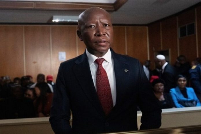 दक्षिण अफ्रीका : विपक्षी नेता जूलियस मालेमा को हथियार कानून उल्लंघन में 5 वर्ष की सजा