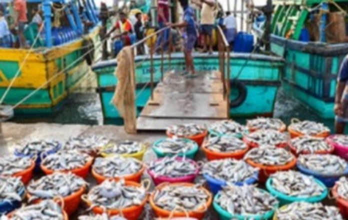 भारत का समुद्री खाद्य निर्यात हुआ 72,300 करोड़ रुपये के पार