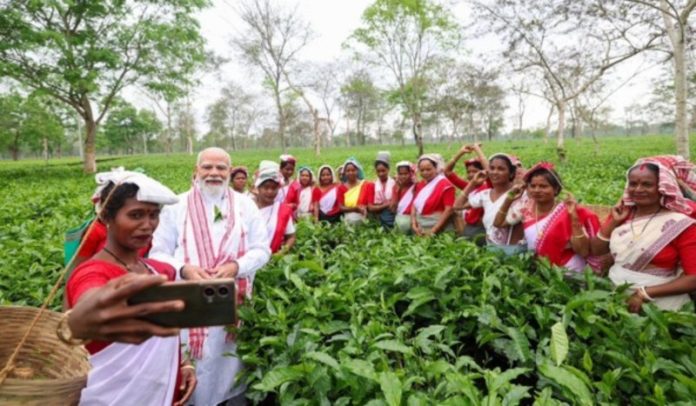 पीएम मोदी ने असम के डिब्रूगढ़ में चाय बागान का दौरा किया पीएम मोदी ने असम के डिब्रूगढ़ में चाय बागान का दौरा किया