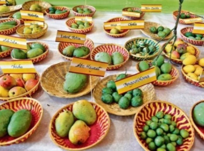 29 से 31 मई तक रायपुर में राष्‍ट्रीय आम महोत्‍सव का आयेजन होगा
