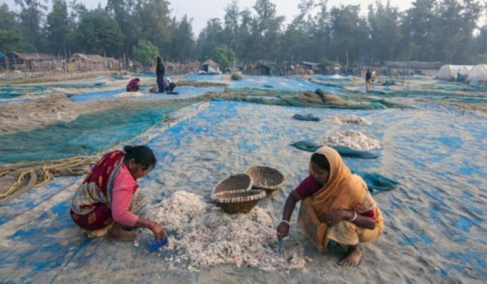 मत्स्य पालन उत्पादों के निरंतर निर्यात के लिए संशोधित मसौदा सूची में ईयू ने भारत को किया शामिल
