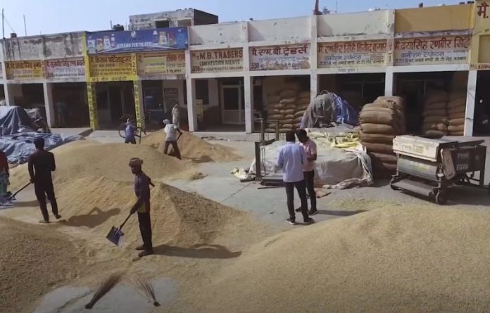 भारत ने वर्ष 2025-26 में अनाज उत्पादन का नया रिकॉर्ड बनाया : केंद्रीय मंत्री प्रह्लाद जोशी